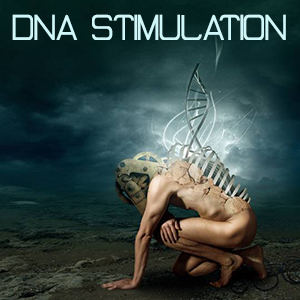 Stimulation DNA