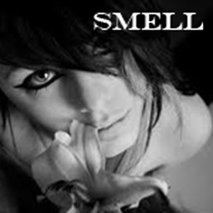 Source_Smell.jpg