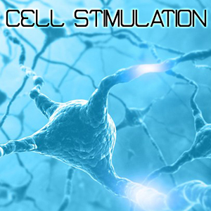 Stimulation Cell
