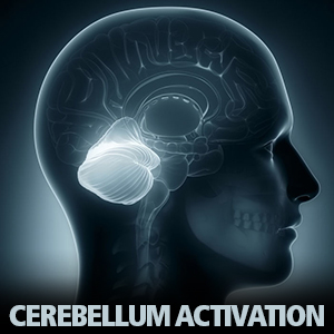Cerebellum Activation