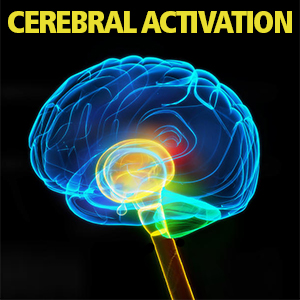 Cerebral Activation