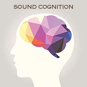 Sound Cognition
