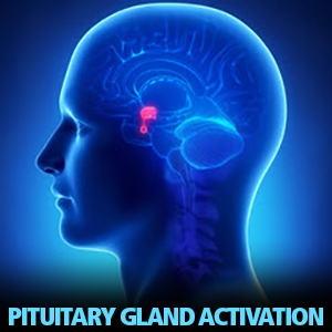 Pituitary Gland Activation