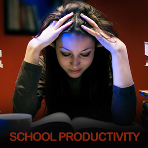 School Productivity